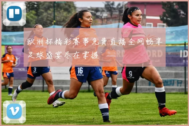 欧洲杯精彩赛事免费直播全网畅享足球盛宴尽在掌握