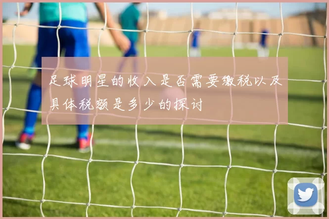 足球明星的收入是否需要缴税以及具体税额是多少的探讨