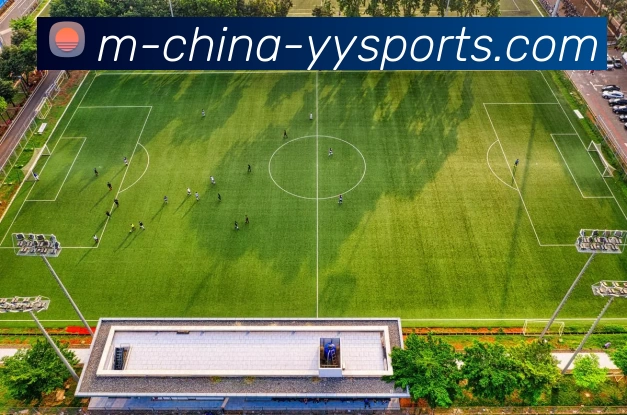 yy易游平台生态图